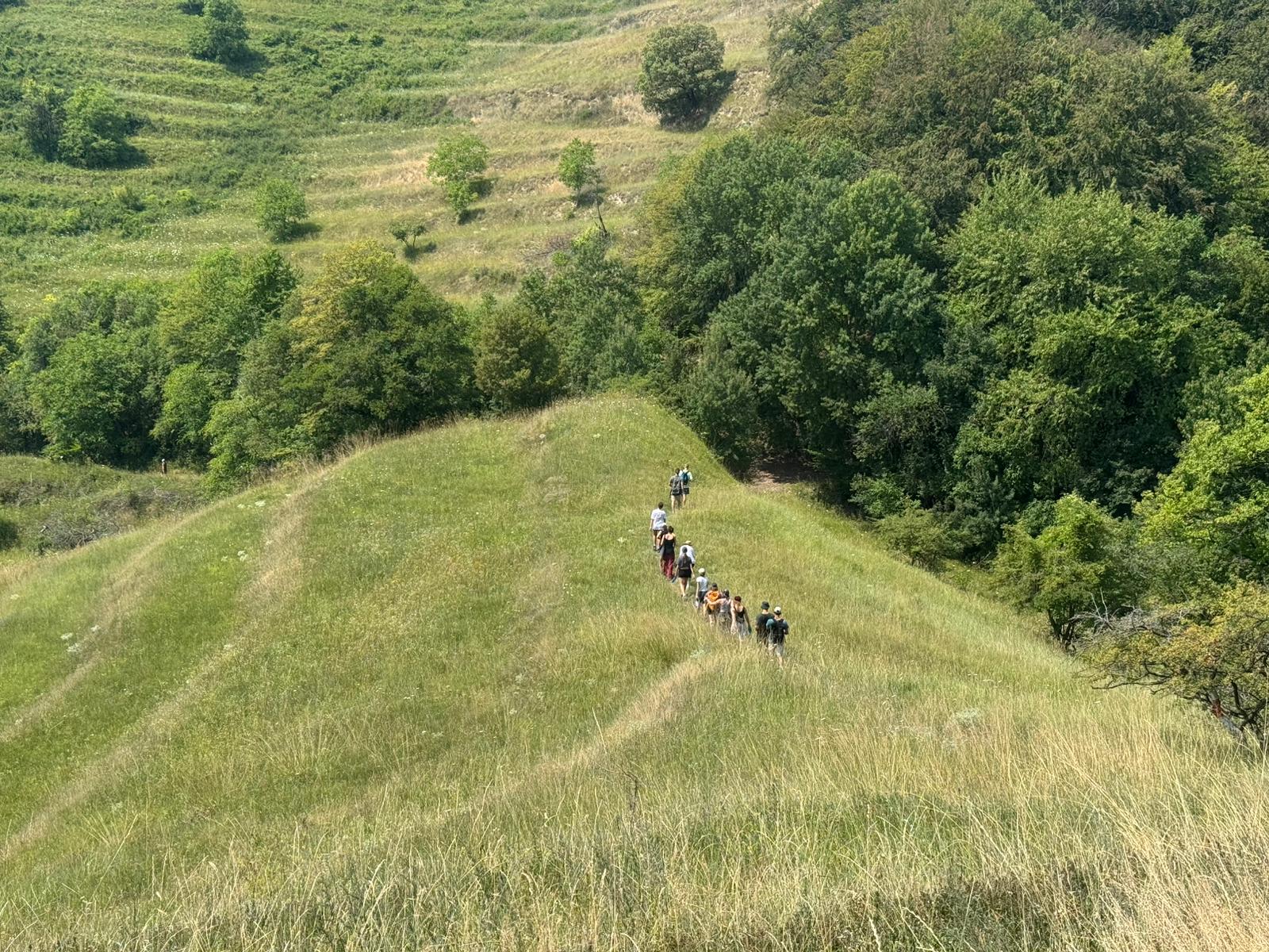 Grüne Wiesen und mittendrin wandern ein Personen. Sie laufen hintereinander auf einem Weg. 