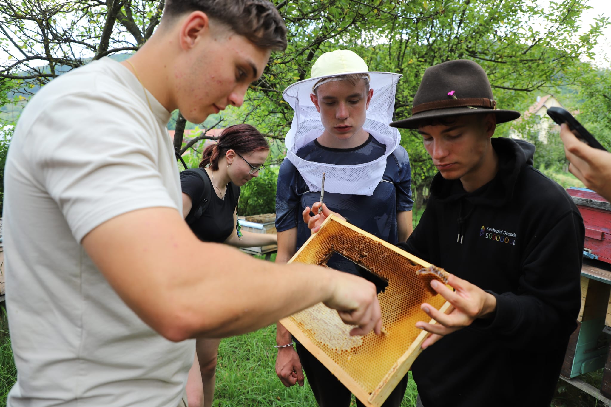 Drei männliche Jugendliche betrachten Bienenwaben. 